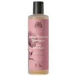 Urtekram Color Preserve Shampoo Soft Wild Rose Shampoo 250 ml